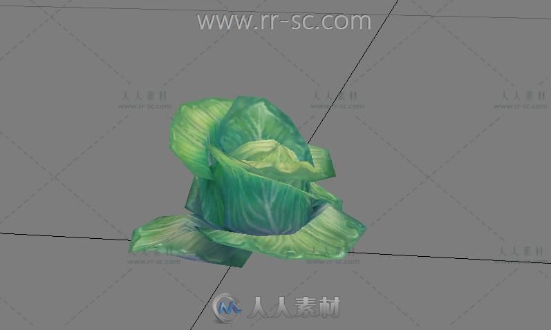 游戏中白菜3D模型