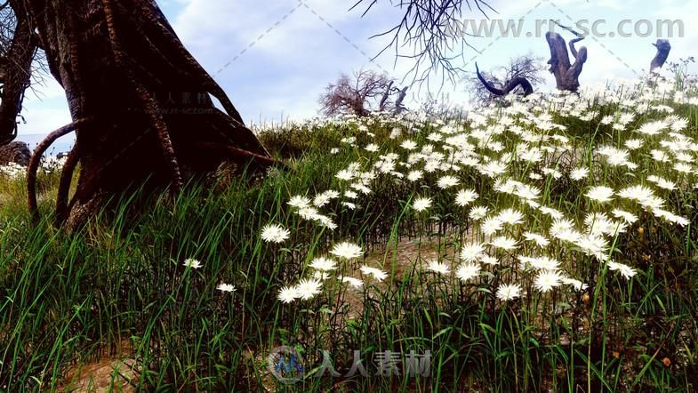 独特的不同季节和种类的自然草纹理贴图和材质Unity游戏素材资源