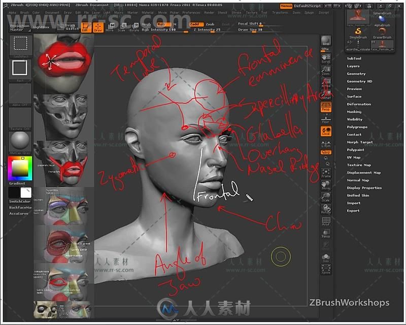 Zbrush人体面部解剖结构大师级训练视频教程 UARTSY ANATOMY OF THE FACE