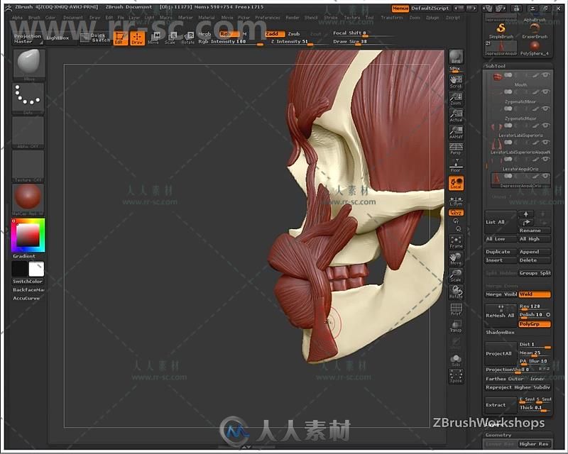 Zbrush人体面部解剖结构大师级训练视频教程 UARTSY ANATOMY OF THE FACE