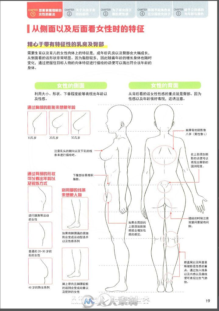 性感女性绘画方法中文教程