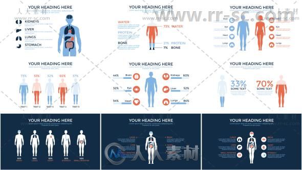 医疗信息图表分析医学器官健康数据动画展示AE模板 Videohive Medical Infographic...