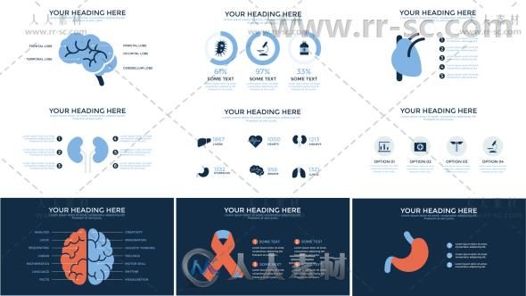 医疗信息图表分析医学器官健康数据动画展示AE模板 Videohive Medical Infographic...