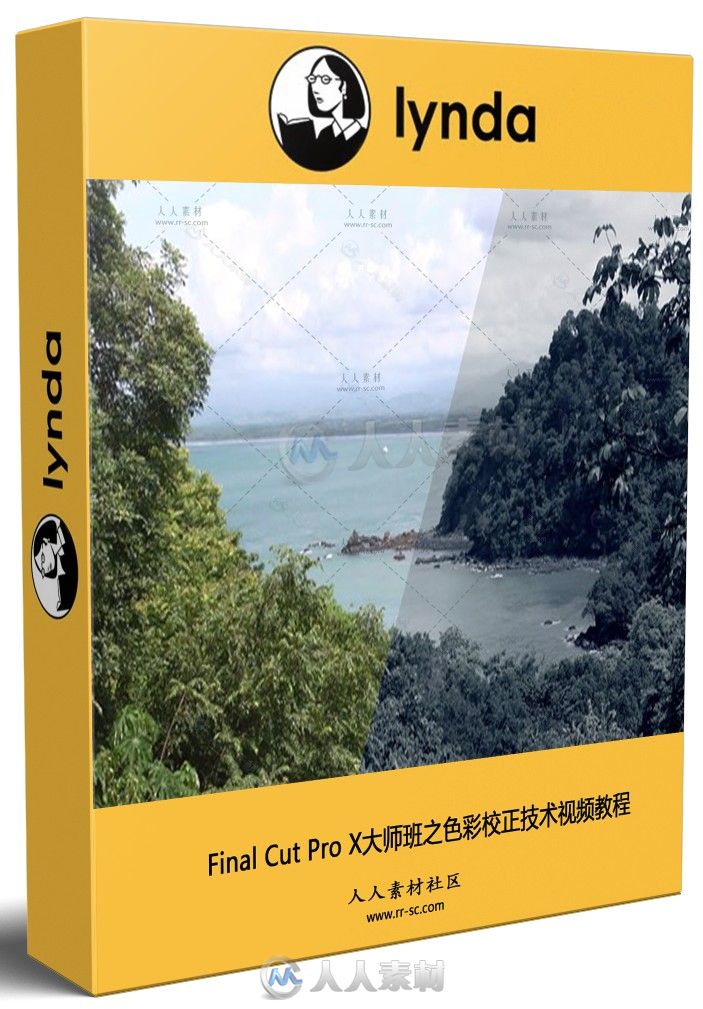 Final Cut Pro X大师班之色彩校正技术视频教程 Final Cut Pro X Guru Color Correc...