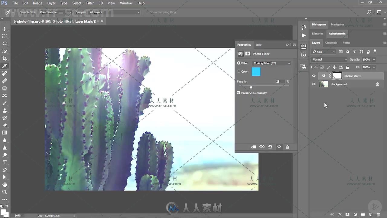 PS CC图层调整技术训练视频教程 PLURALSIGHT PHOTOSHOP CC ADJUSTMENT LAYERS