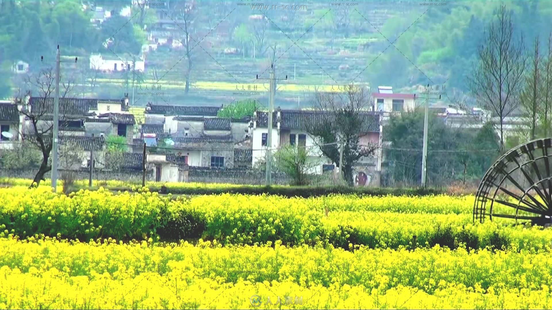 唯美古建筑与油菜花醉人风光高清实拍视频素材