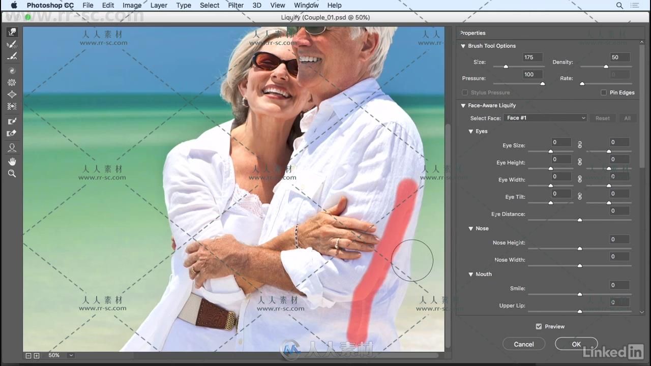 PS CC 2018摄影师照片处理技术视频教程 Photoshop CC 2018 Essential Training Pho...