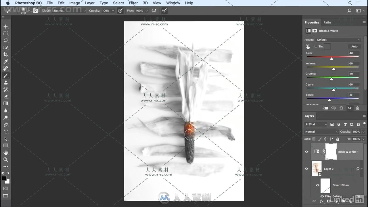 PS CC 2018摄影师照片处理技术视频教程 Photoshop CC 2018 Essential Training Pho...