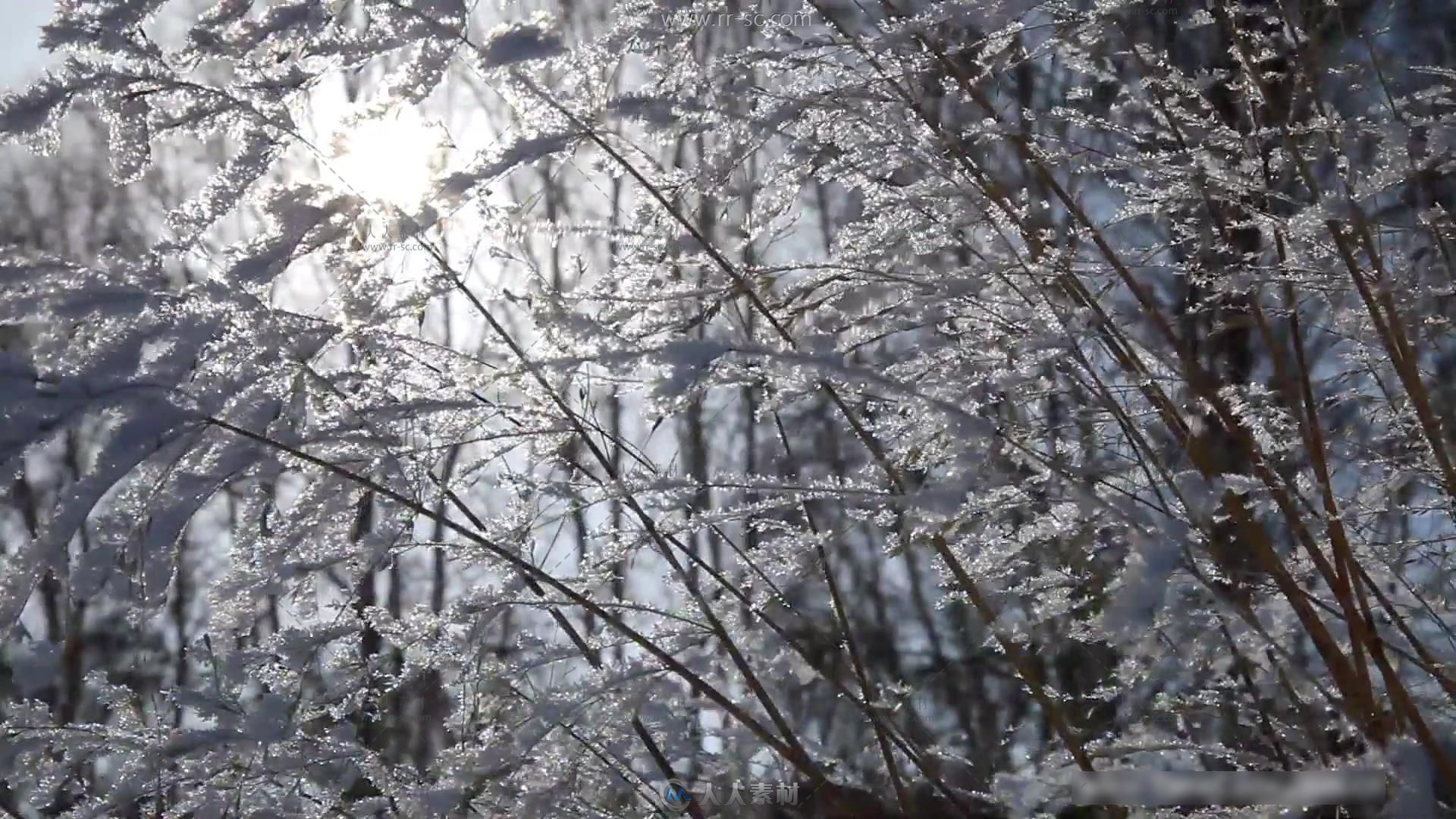 唯美冬季冰天雪地摄影师雪地拍照高清实拍视频素材