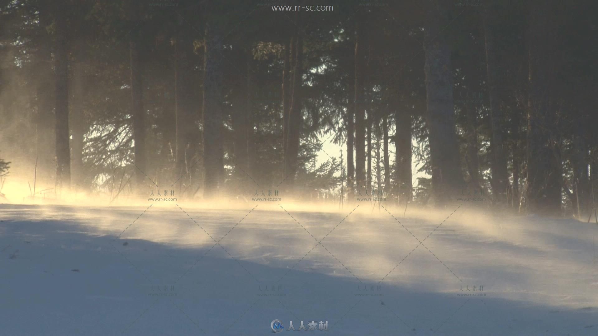 树林中的风雪吹起高清实拍视频素材