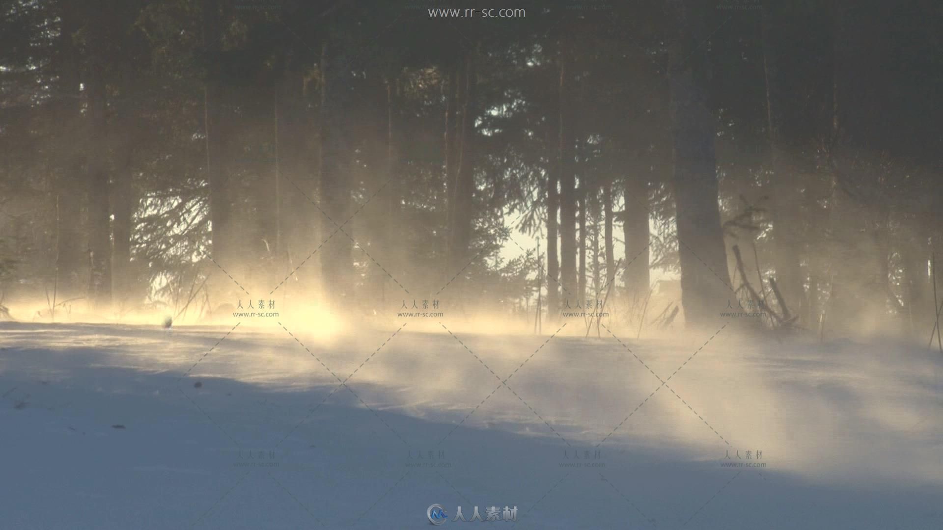 树林中的风雪吹起高清实拍视频素材