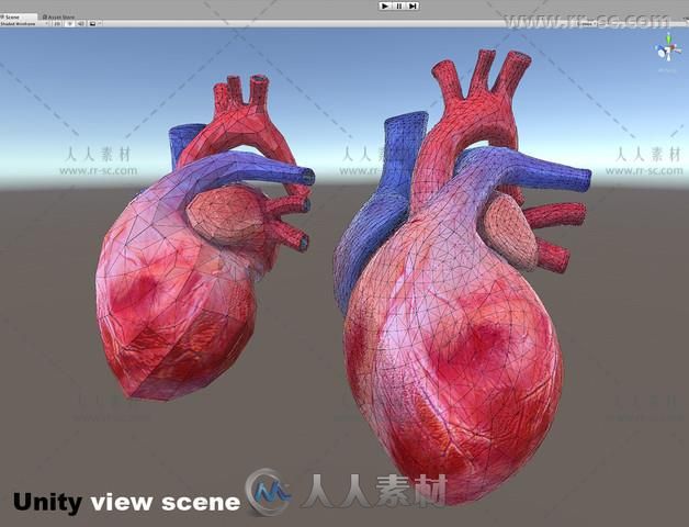 逼真的生机蓬勃的现实心脏Unity游戏素材资源
