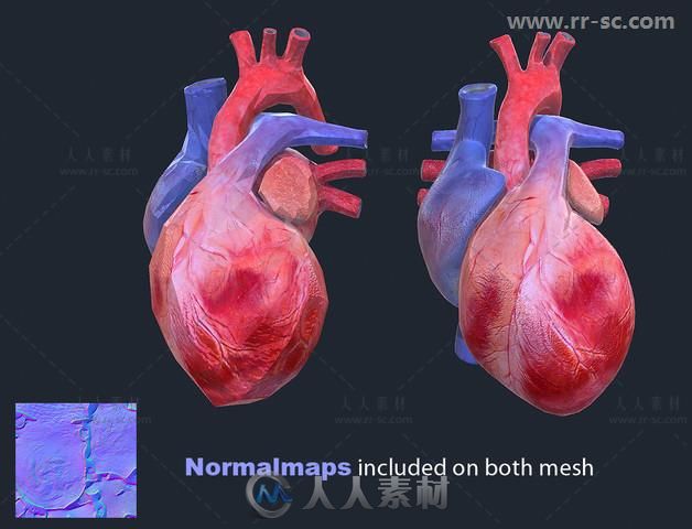 逼真的生机蓬勃的现实心脏Unity游戏素材资源