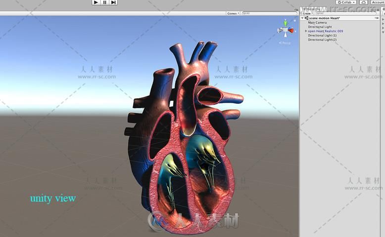 生气蓬勃的心脏解剖角色3D模型Unity游戏素材资源