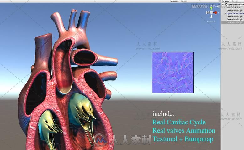 生气蓬勃的心脏解剖角色3D模型Unity游戏素材资源