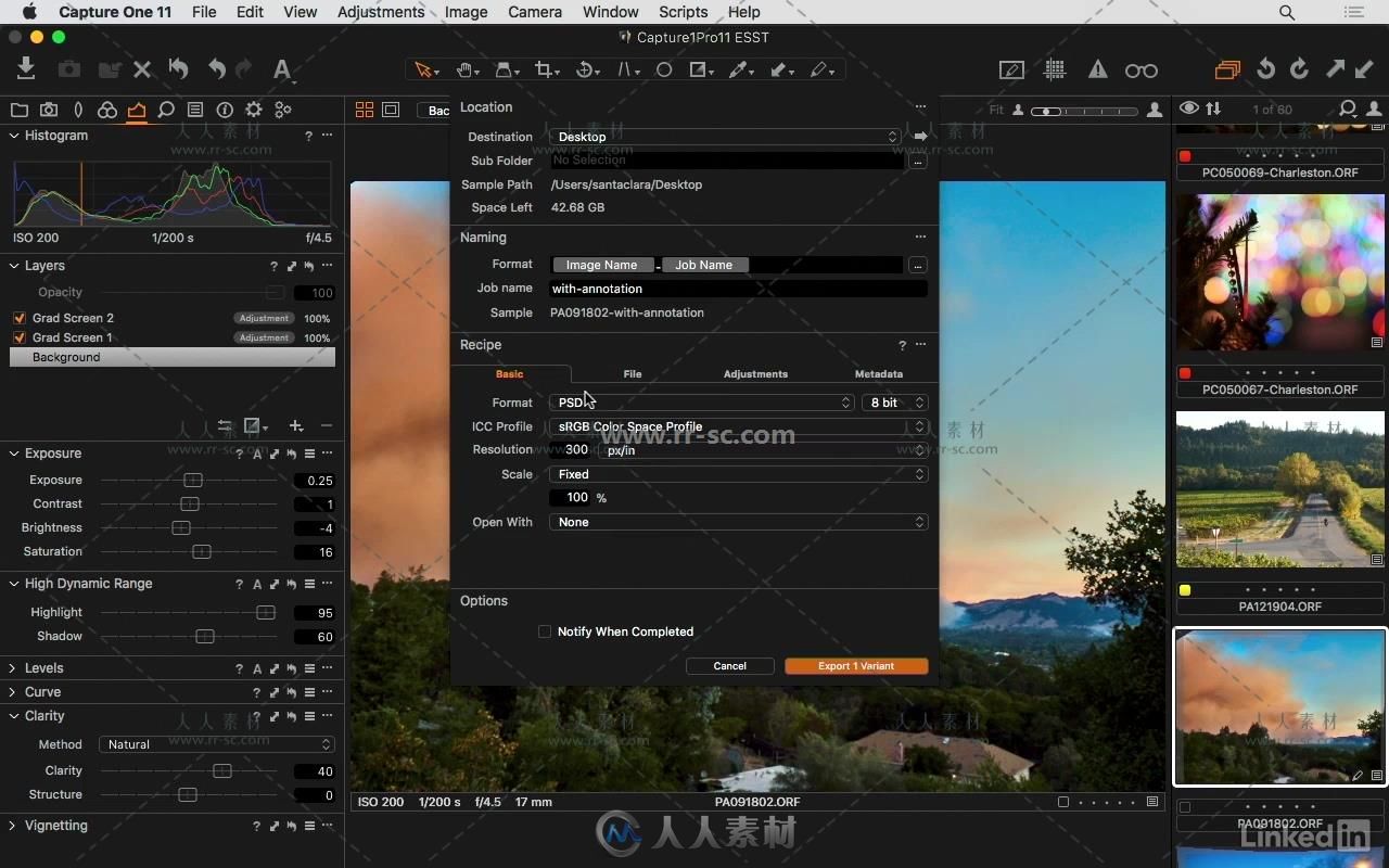 Capture One Pro 11图像处理全面核心训练视频教程