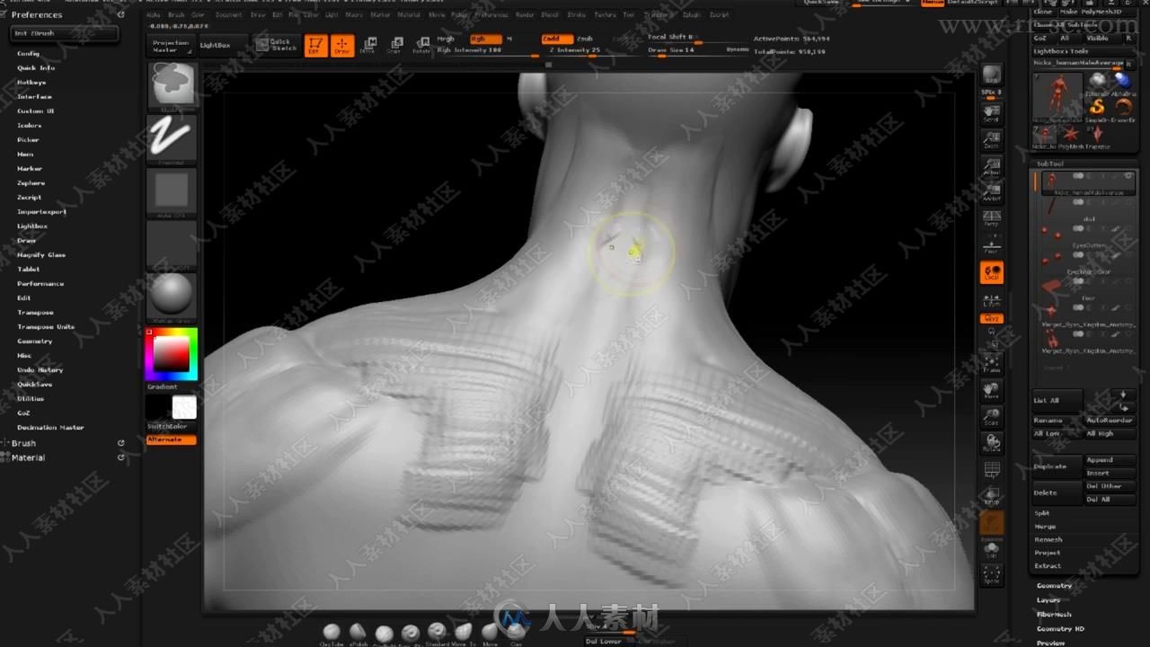 Zbrush人体解剖数字艺术终极训练视频教程之身体肌肉