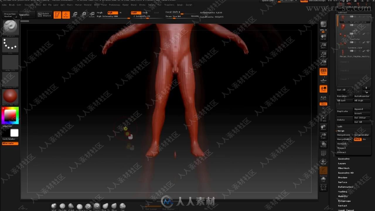 Zbrush人体解剖数字艺术终极训练视频教程之身体肌肉