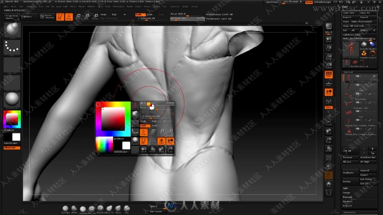 Zbrush人体解剖数字艺术终极训练视频教程之身体肌肉
