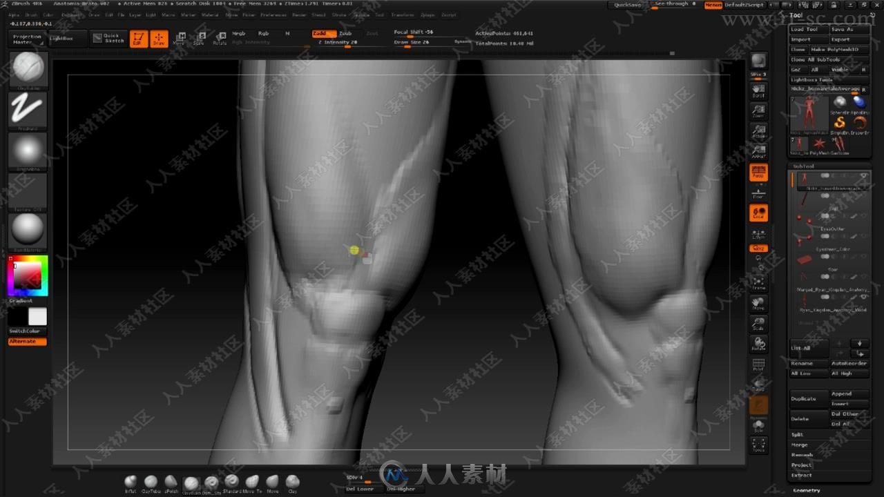 Zbrush人体解剖数字艺术终极训练视频教程之身体肌肉