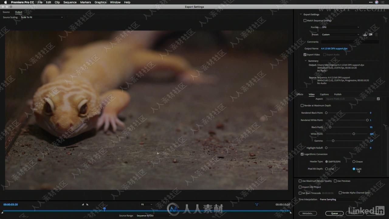 Premiere Pro CC 2018.1新功能探索训练视频教程