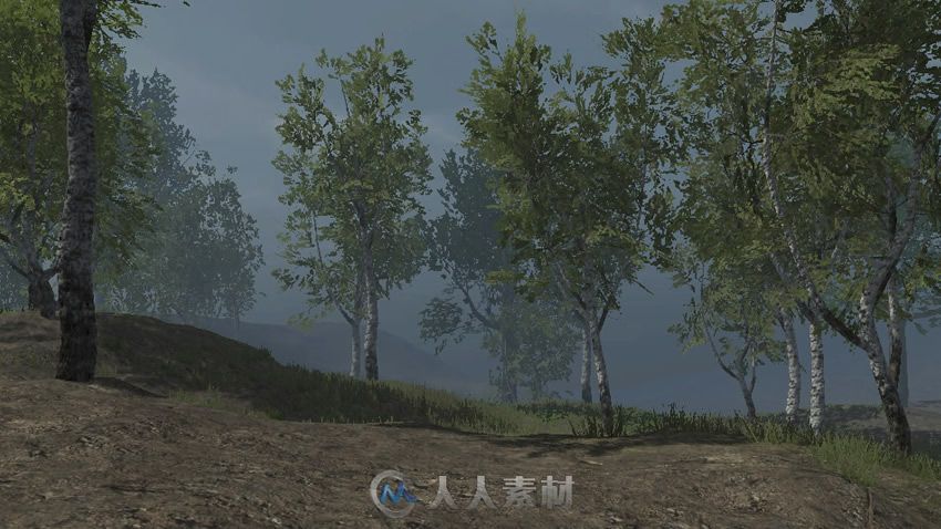 Birch Trees Package [updated] 白桦树模型