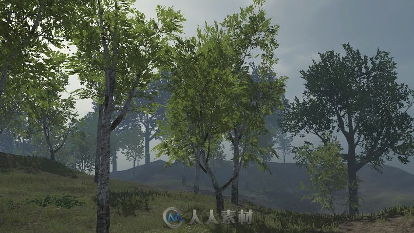 Birch Trees Package [updated] 白桦树模型