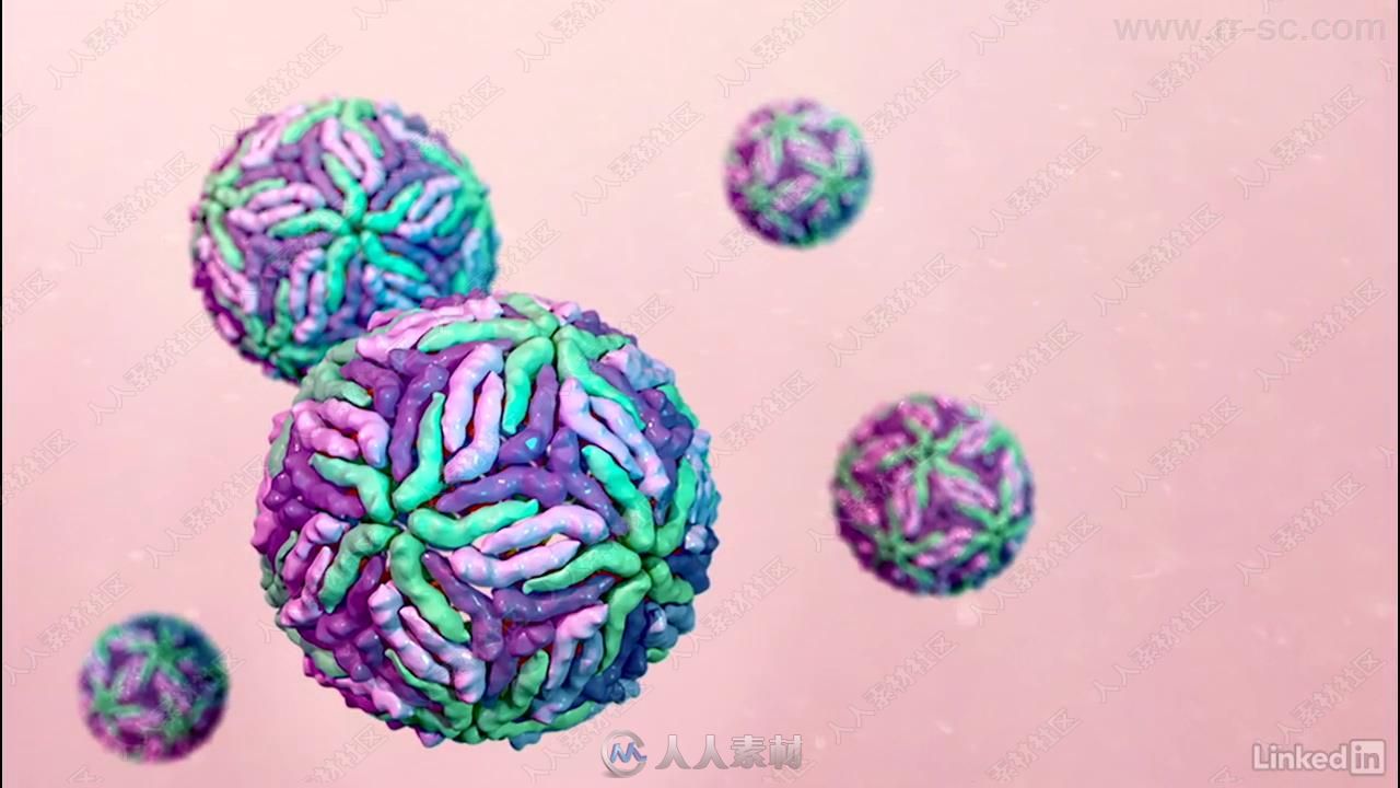 Maya医学解剖医疗动画基础训练视频教程