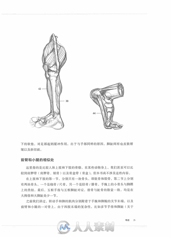 巴黎高等国立美术学院实用素描解剖书籍杂志