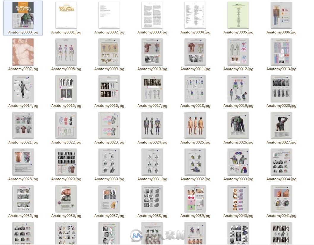 素材资料Anatomy for Sculptors艺用人体解剖结构参考图片