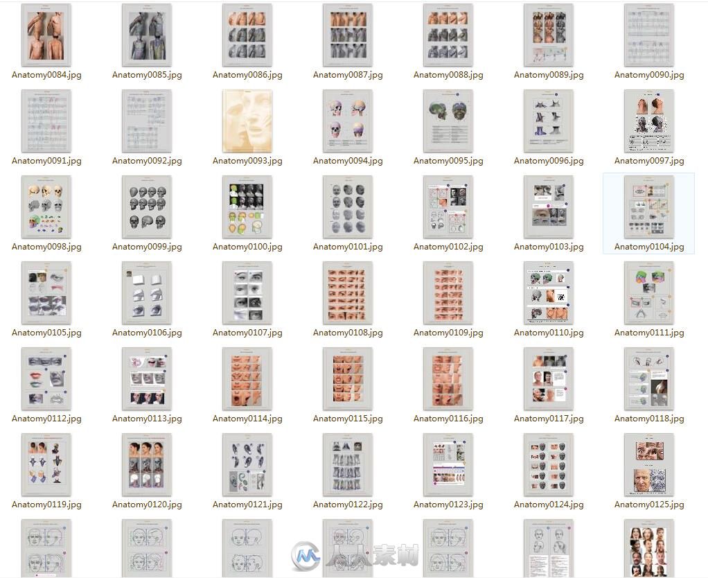 素材资料Anatomy for Sculptors艺用人体解剖结构参考图片