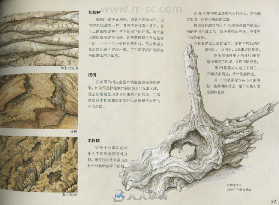 植物水彩极致表现书籍杂志