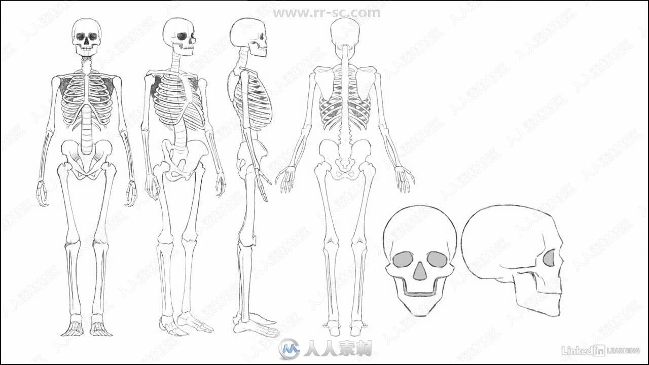 身体躯干移动动作2D动画技术视频教程