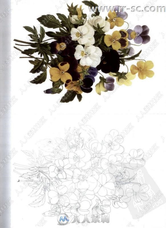 法式浪漫花卉彩色铅笔手绘书籍杂志