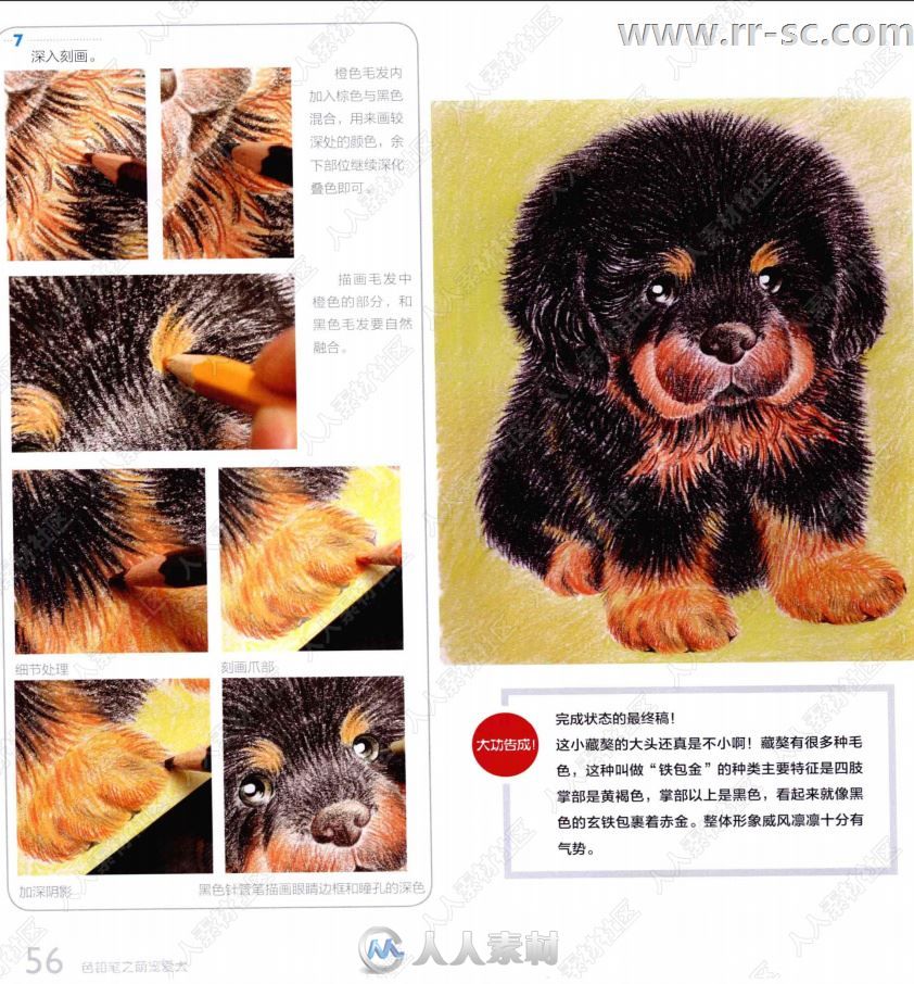 彩色铅笔之萌宠爱犬图绘书籍杂志
