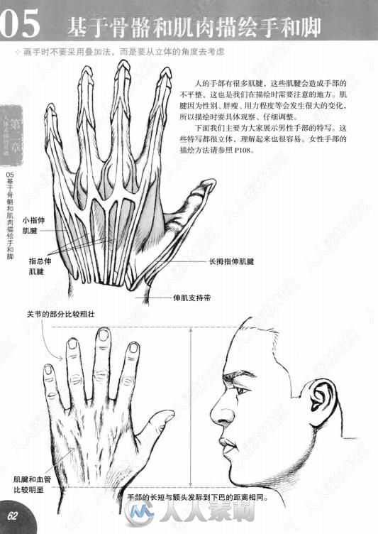 从人体解剖学习人物画书籍杂志