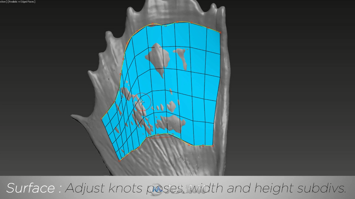 Kinematic Lab工作室发布了TopoLogiK for 3ds Max 更高效的重拓扑插件