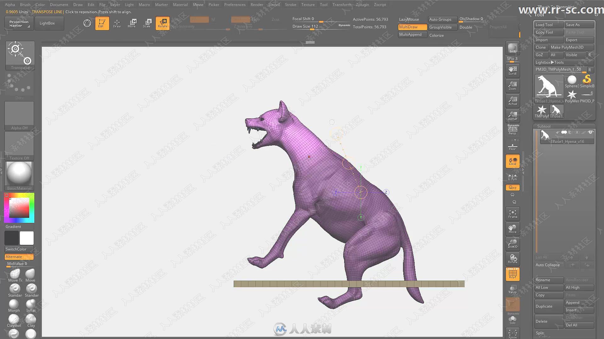 Zbrush雕刻细斑鬣狗3D高精视频教程