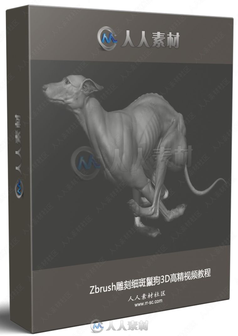 Zbrush雕刻细斑鬣狗3D高精视频教程