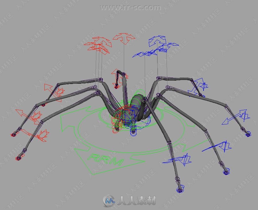 Rapid Rig Modular快速自动绑定Maya插件V2.3.7版