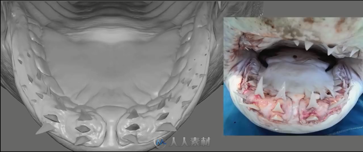 影片《巨齿鲨 (2018)》视觉特效解析视频 两家视觉特效工作室作品分享