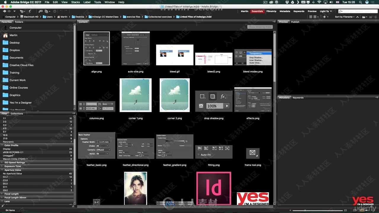 InDesign CC 2019排版设计大师班训练视频教程