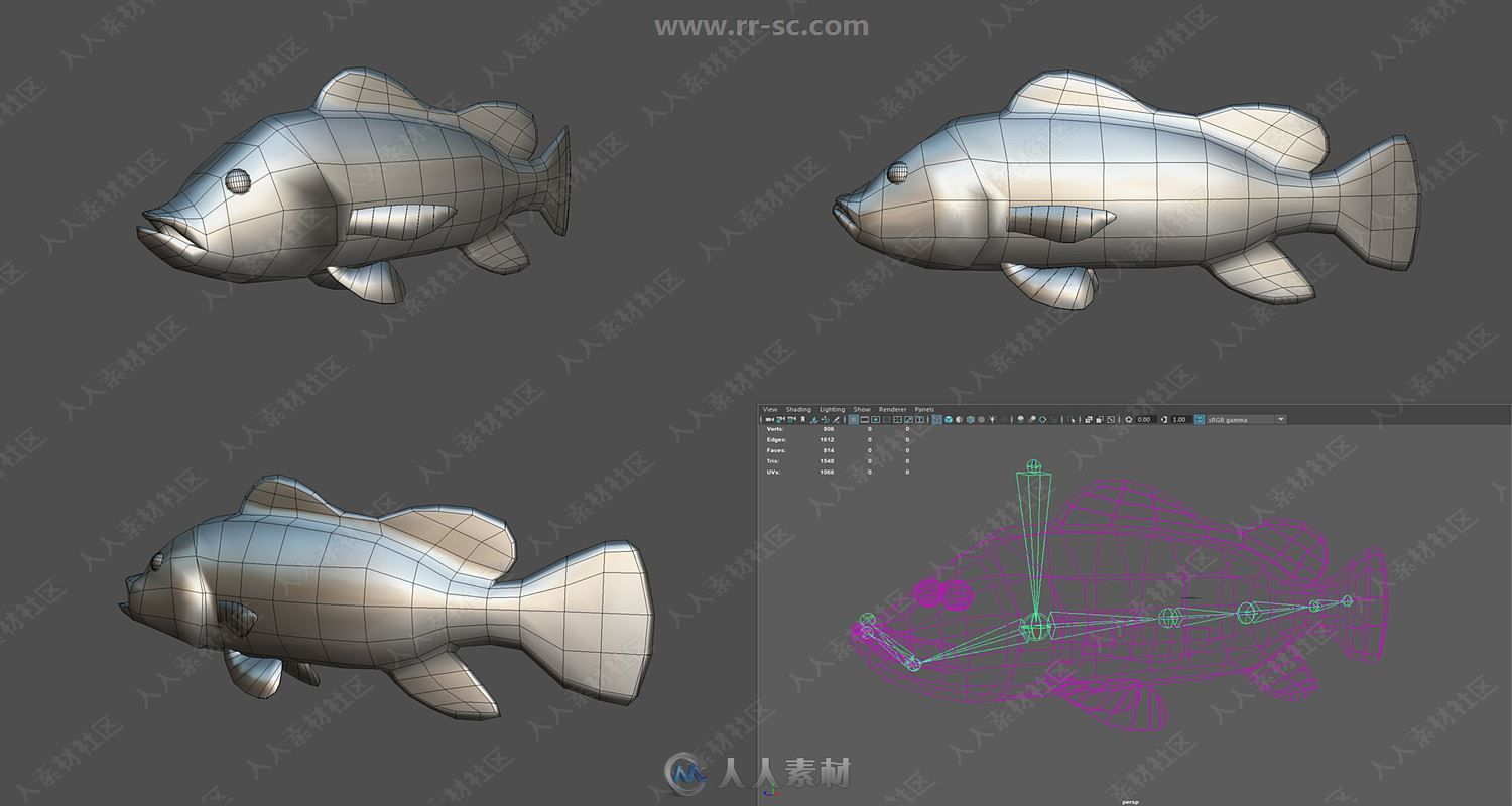 20组蓝鲸蟹海豚鱼类3D模型合集