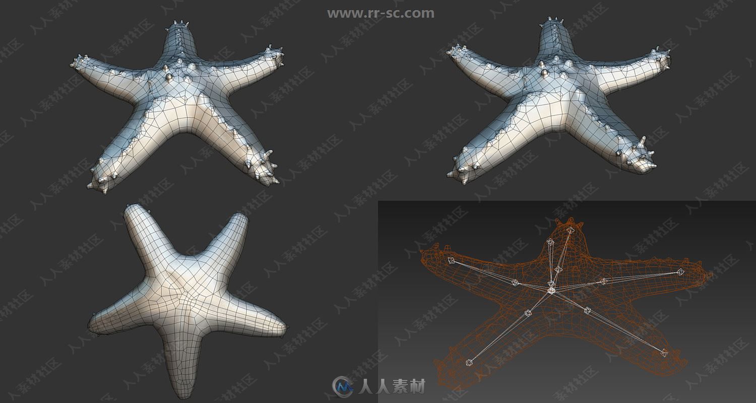 20组蓝鲸蟹海豚鱼类3D模型合集