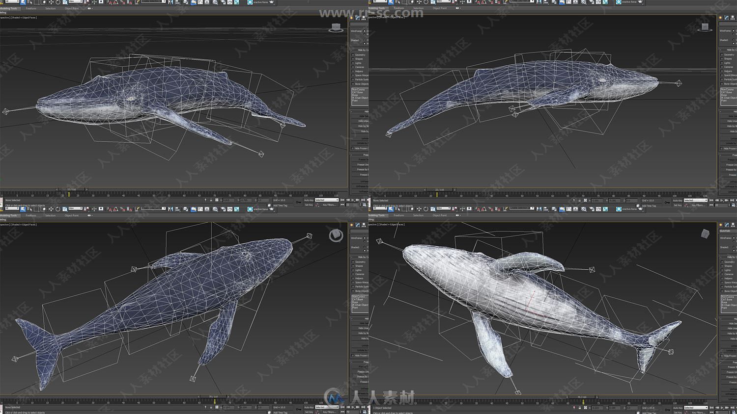 鲸鱼海豚螃蟹等海洋动物鱼类3D模型合集