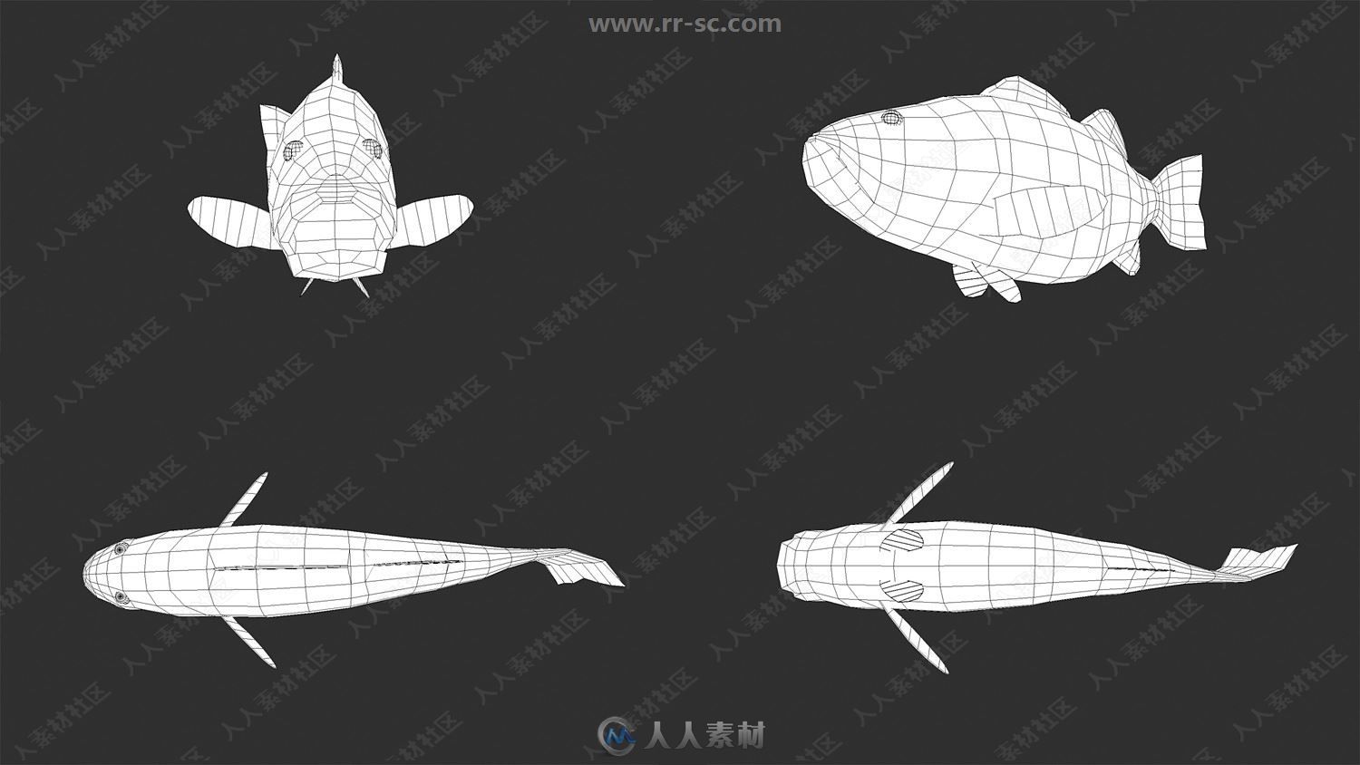 鲸鱼海豚螃蟹等海洋动物鱼类3D模型合集