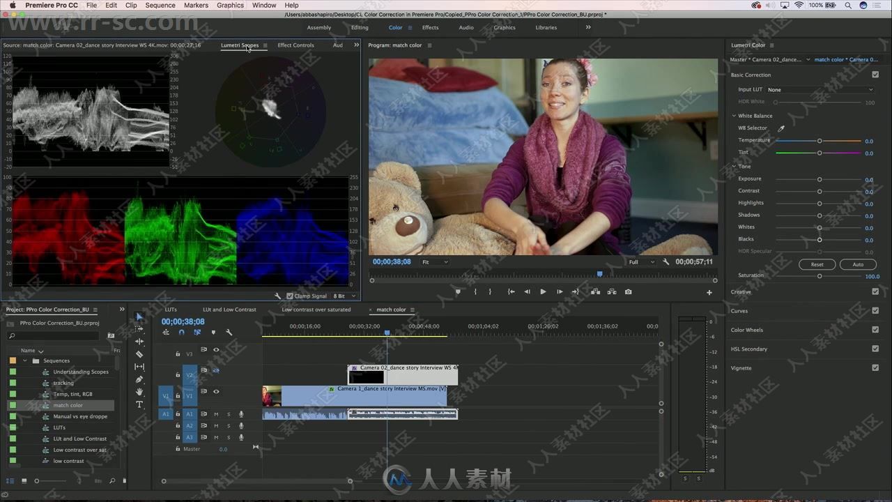 Premiere Pro色彩校正技术揭秘视频教程