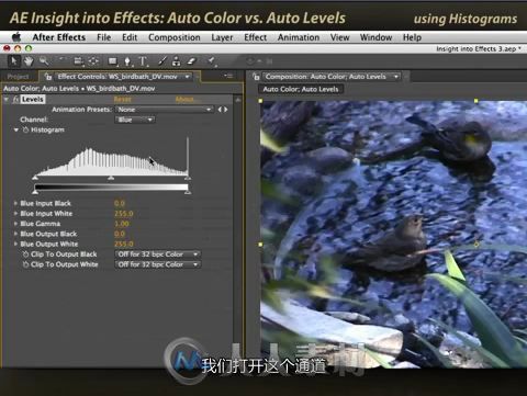 After Effects自动色彩校正经典教程 自动颜色、自动色阶和自动对比的区别