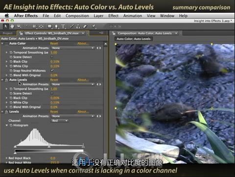 After Effects自动色彩校正经典教程 自动颜色、自动色阶和自动对比的区别