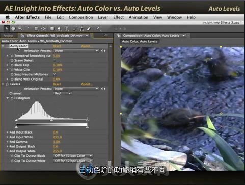After Effects自动色彩校正经典教程 自动颜色、自动色阶和自动对比的区别